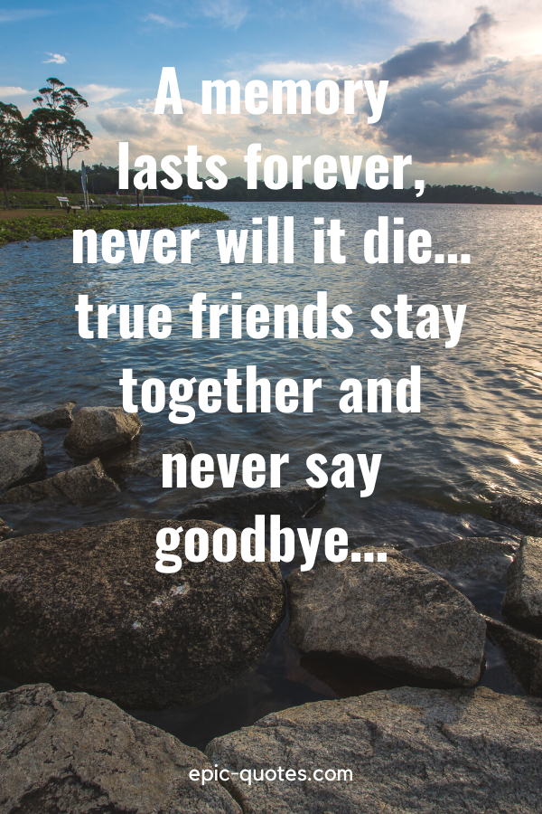 “A memory lasts forever, never will it die… true friends stay together and never say goodbye…”