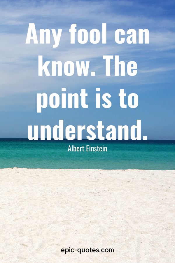 “Any fool can know. The point is to understand.” -Albert Einstein