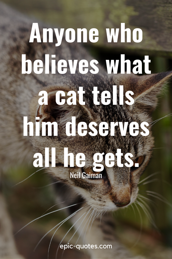“Anyone who believes what a cat tells him deserves all he gets.” -Neil Gaiman