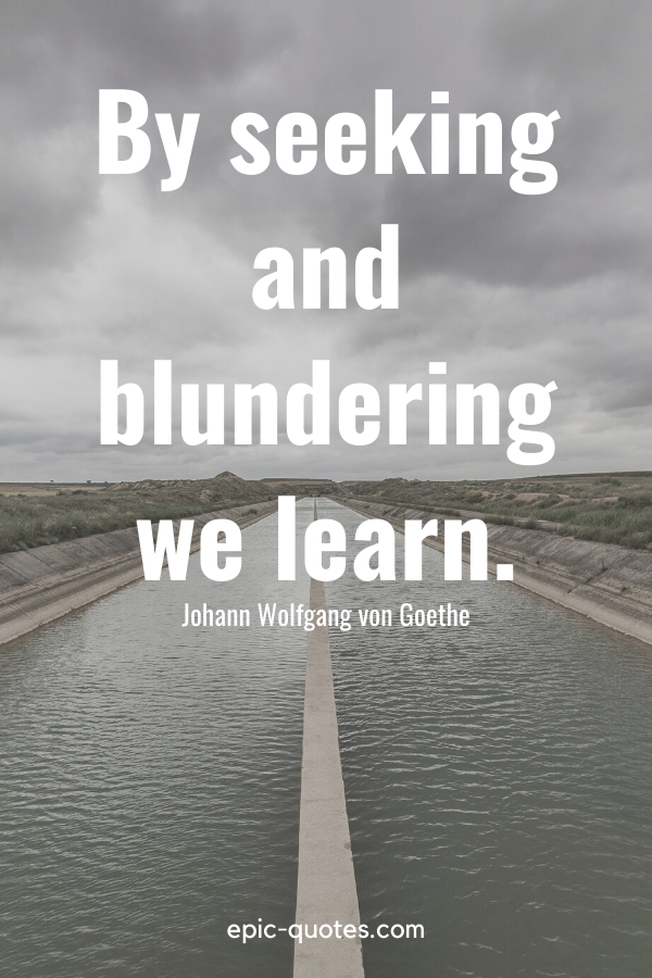 By seeking and blundering we learn. - Quote