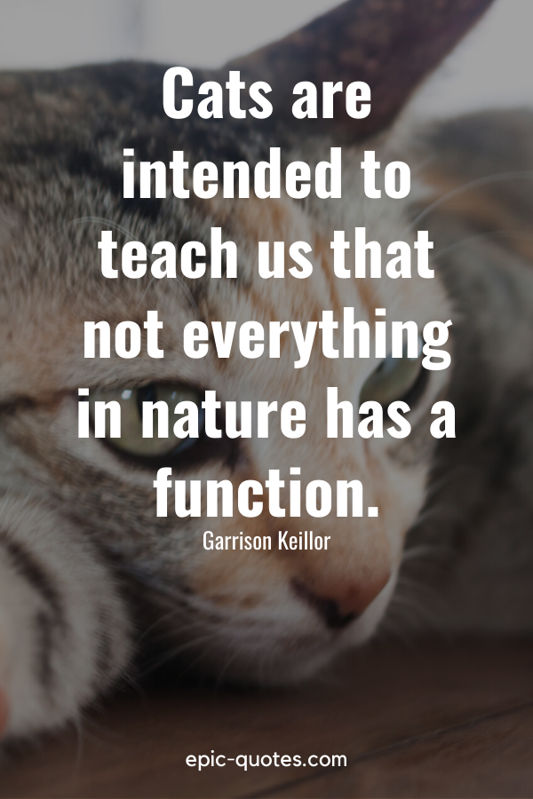 “Cats are intended to teach us that not everything in nature has a function.” -Garrison Keillor