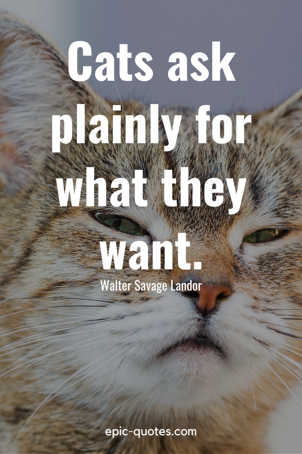 “Cats ask plainly for what they want.” -Walter Savage Landor