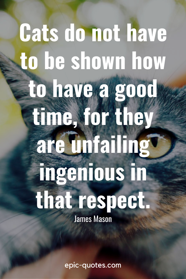 “Cats do not have to be shown how to have a good time, for they are unfailing ingenious in that respect.” -James Mason