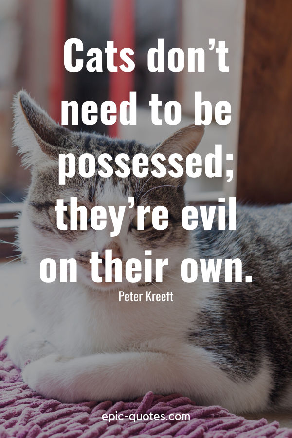“Cats don’t need to be possessed; they’re evil on their own.” -Peter Kreeft