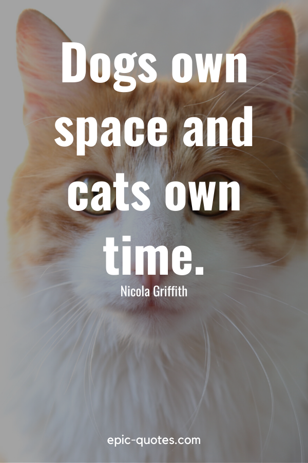 “Dogs own space and cats own time.” -Nicola Griffith