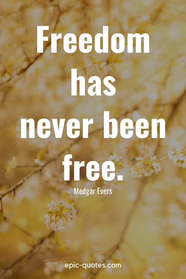 “Freedom has never been free.” -Medgar Evers