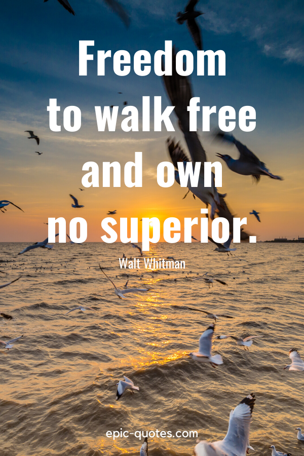 “Freedom – to walk free and own no superior.” -Walt Whitman