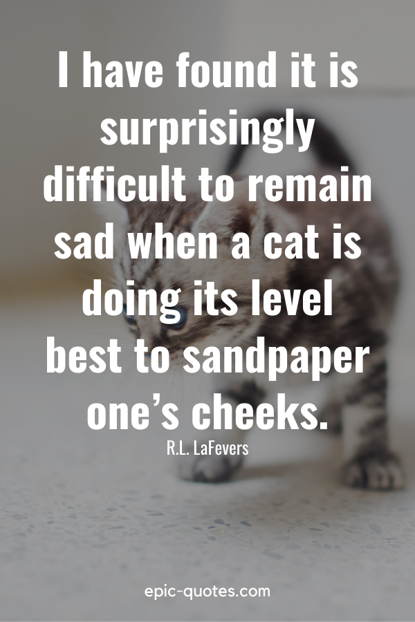 “I have found it is surprisingly difficult to remain sad when a cat is doing its level best to sandpaper one’s cheeks.” -R.L. LaFevers