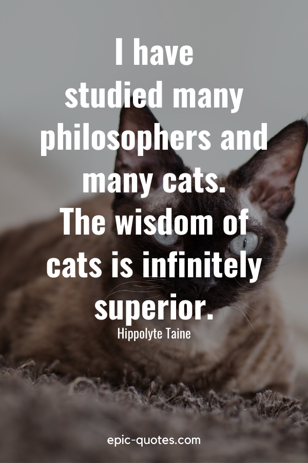 “I have studied many philosophers and many cats. The wisdom of cats is infinitely superior.” -Hippolyte Taine