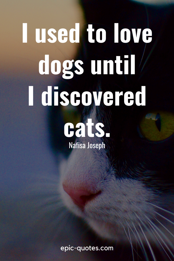 “I used to love dogs until I discovered cats.” -Nafisa Joseph