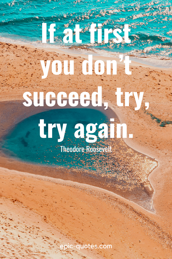 “If at first you don’t succeed, try, try again.” -Theodore Roosevelt
