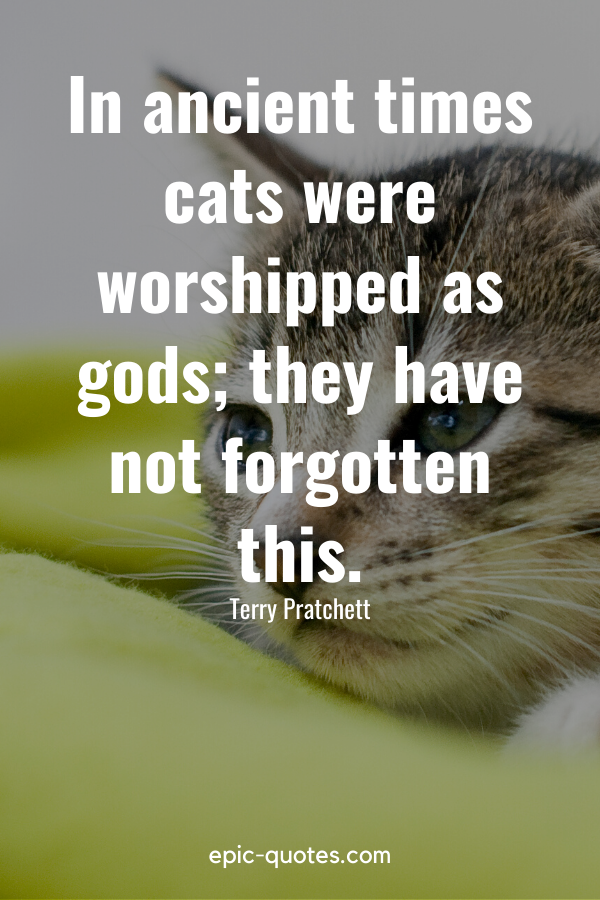 “In ancient times cats were worshipped as gods; they have not forgotten this.” -Terry Pratchett