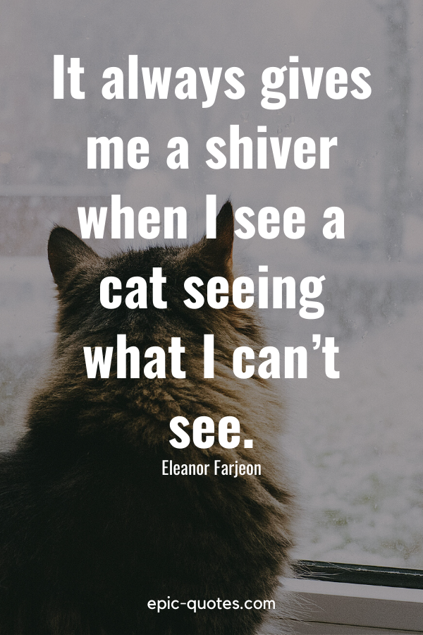 “It always gives me a shiver when I see a cat seeing what I can’t see.” -Eleanor Farjeon