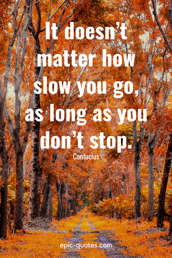 "It doesn’t matter how slow you go, as long as you don’t stop." -Confucius