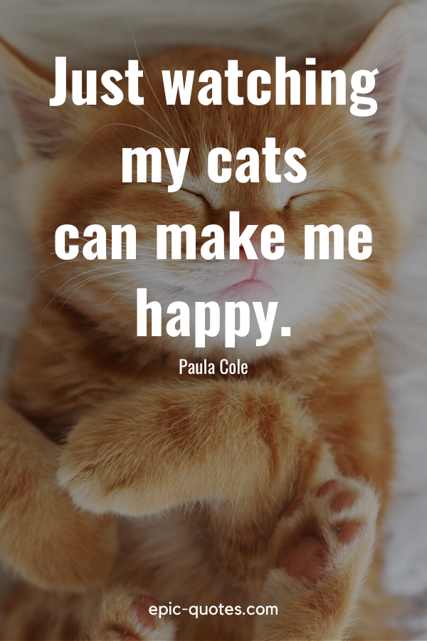 “Just watching my cats can make me happy.” -Paula Cole