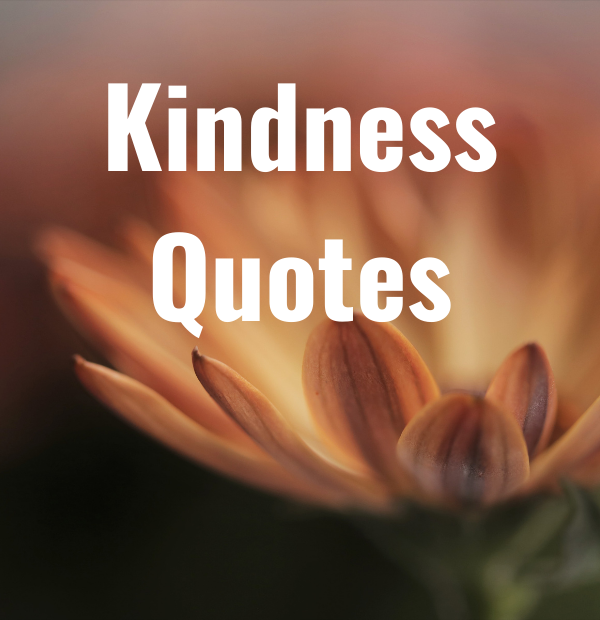 36 Kindness Quotes