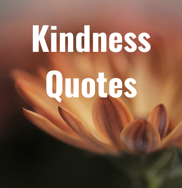 Kindness Quotes