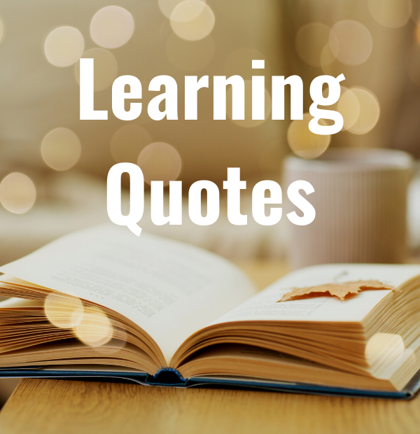 30 Learning Quotes