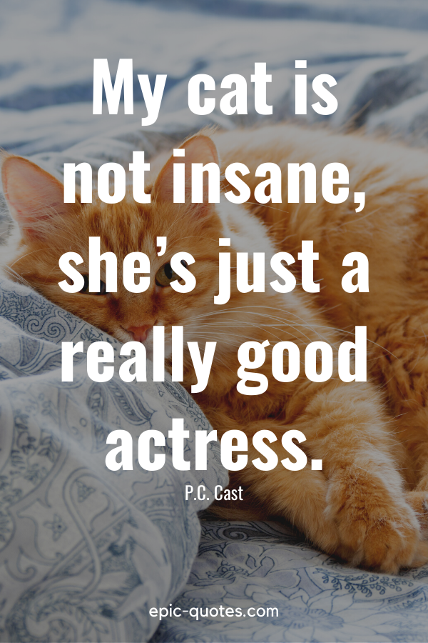 “My cat is not insane, she’s just a really good actress.” -P.C. Cast