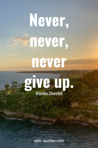 33 Never Give Up Quotes - epic-quotes.com