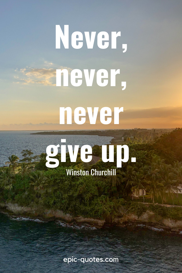 “Never, never, never give up.” -Winston Churchill