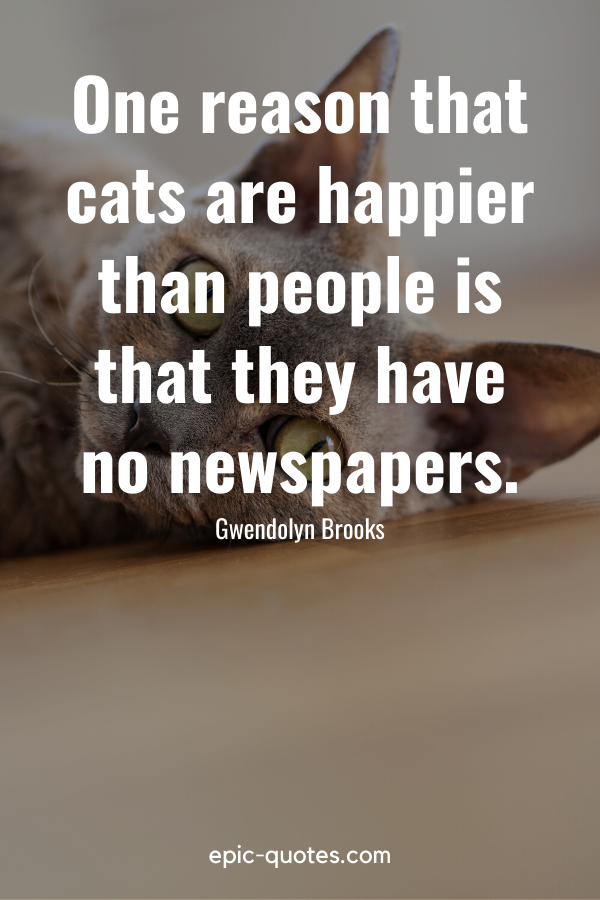 “One reason that cats are happier than people is that they have no newspapers.” -Gwendolyn Brooks