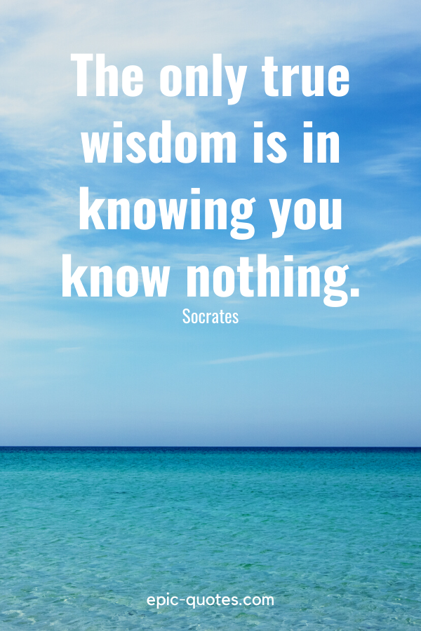 “The only true wisdom is in knowing you know nothing.” -Socrates