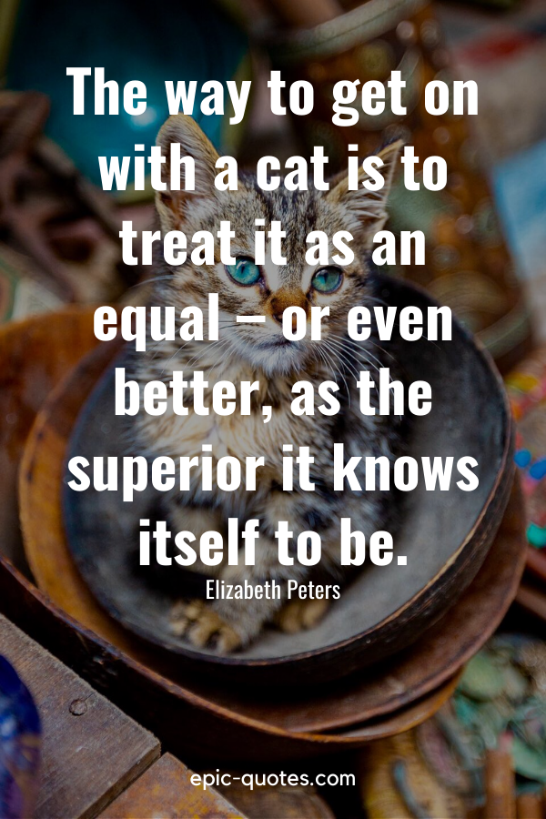 44 Cat Quotes - epic-quotes.com