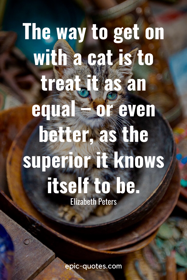 “The way to get on with a cat is to treat it as an equal – or even better, as the superior it knows itself to be.” -Elizabeth Peters