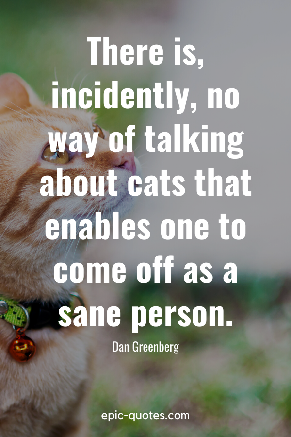 “There is, incidently, no way of talking about cats that enables one to come off as a sane person.” -Dan Greenberg