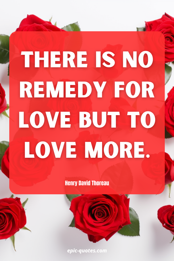 There is no remedy for love but to love more. Henry David Thoreau