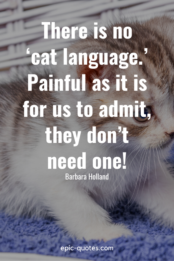 “There is no ‘cat language.’ Painful as it is for us to admit, they don’t need one!” -Barbara Holland