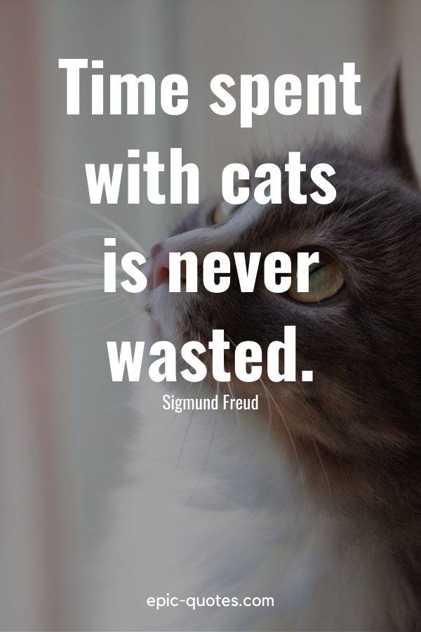 “Time spent with cats is never wasted.” -Sigmund Freud