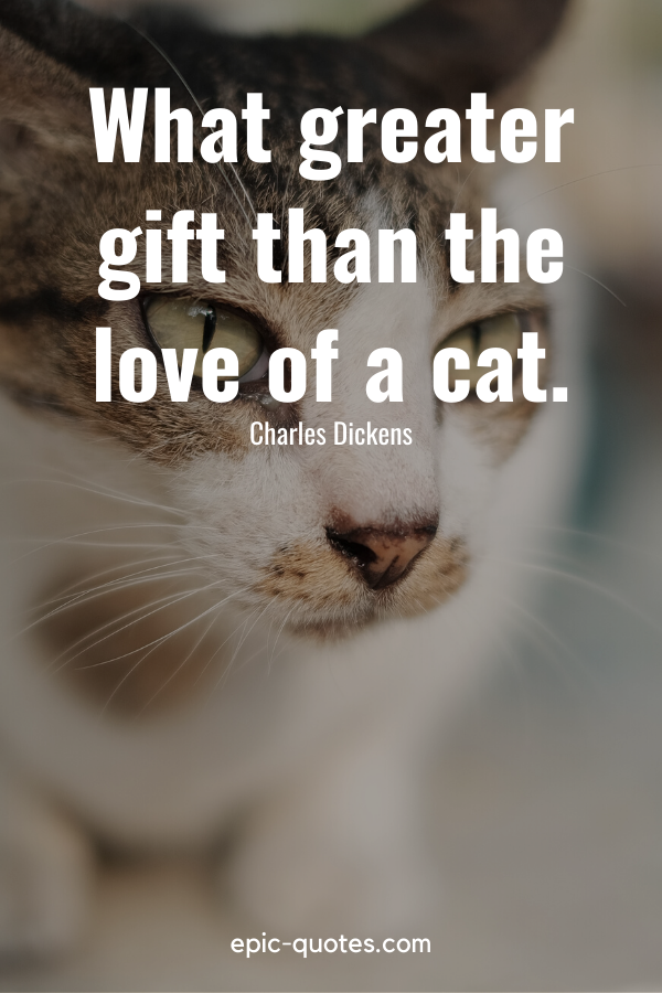 “What greater gift than the love of a cat.” -Charles Dickens
