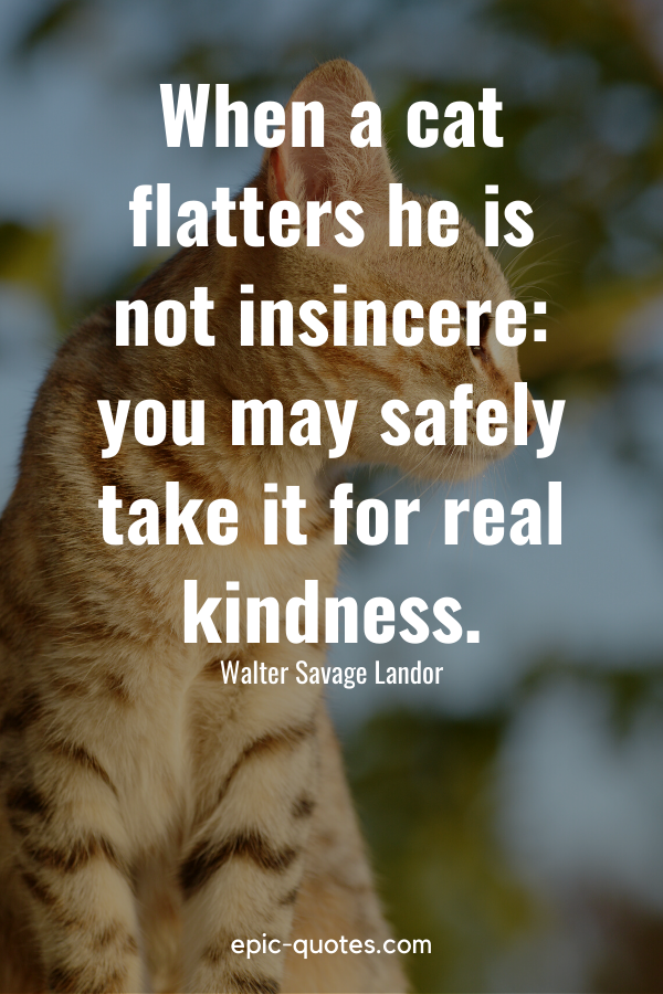 “When a cat flatters he is not insincere you may safely take it for real kindness.” -Walter Savage Landor