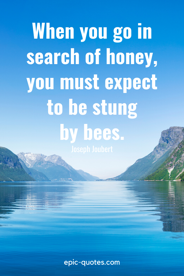 “When you go in search of honey, you must expect to be stung by bees.” -Joseph Joubert