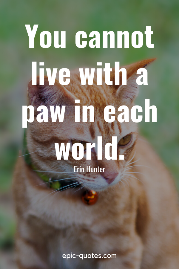 “You cannot live with a paw in each world.” -Erin Hunter